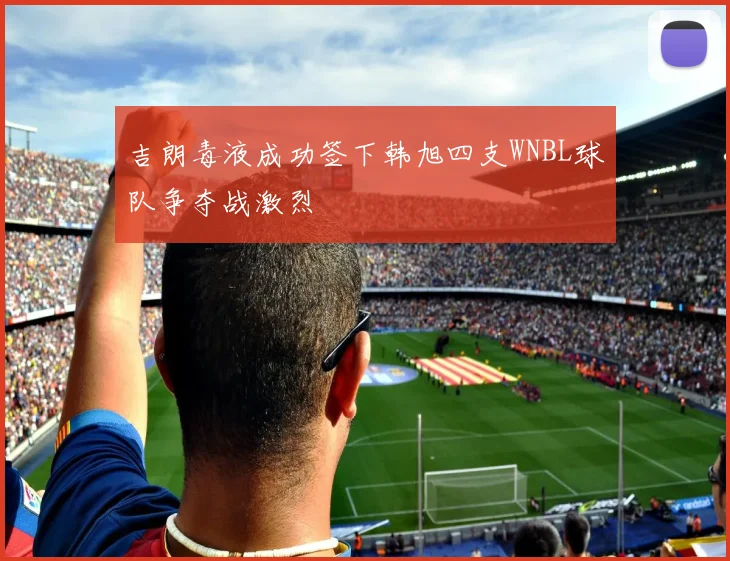 吉朗毒液成功签下韩旭四支WNBL球队争夺战激烈