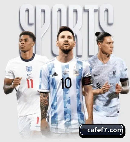 五大服务分区,信息按项目分类