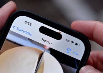 Huớng dẫn ‘nuôi thú’ siêu đáng yêu trên Dynamic Island của iPhone 14 Pro và 14 Pro Max