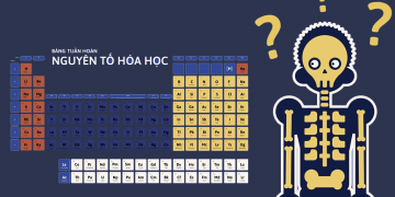 [Infographic] Cơ thể con người được tạo nên từ những nguyên tố nào?