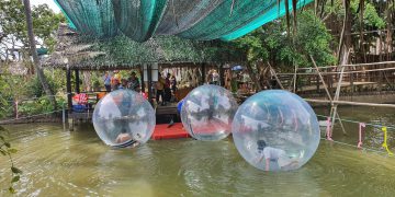 Có gì vui ở Cù lao Phụng?